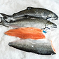 King Salmon, Fillet, Sustainably Farmed, Pacific, Lions Gate Fisheries