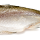 frozen smelts