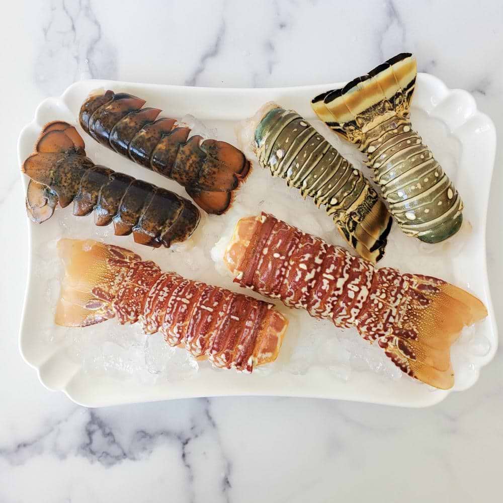 Trifecta Lobster tails allfreshcopy 